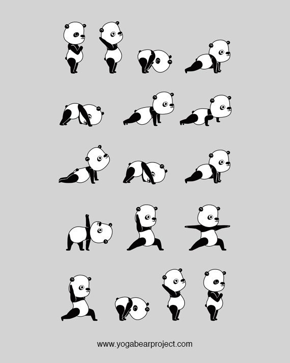 Yoga Bear Project - Panda