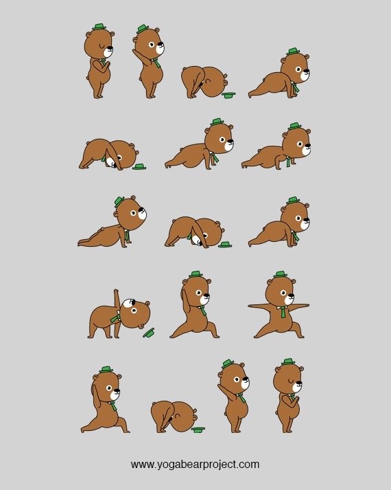 Yoga Bear Project